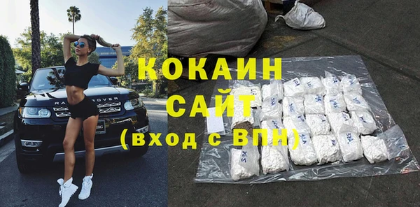 Альфа ПВП Верея