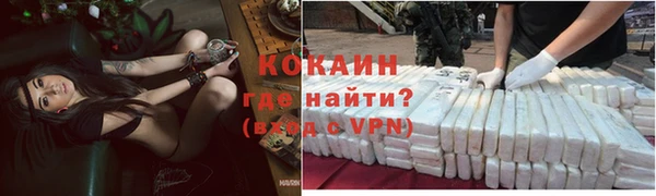Альфа ПВП Верея