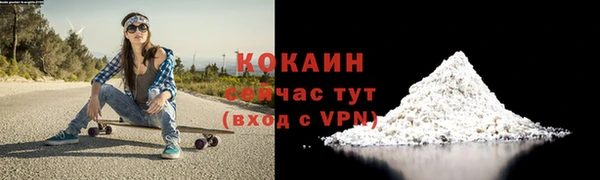 мдпв Верхний Тагил