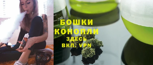 Альфа ПВП Верея