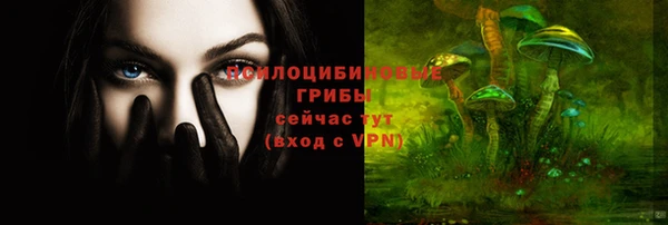 мдпв Верхний Тагил