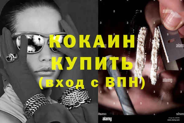 Альфа ПВП Верея