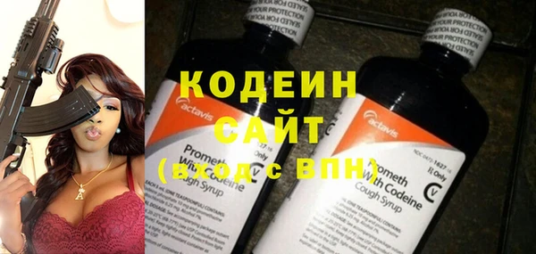 мдпв Верхний Тагил