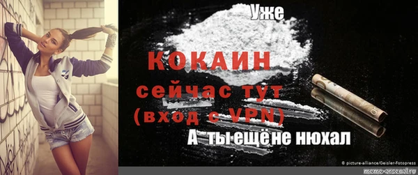 Альфа ПВП Верея