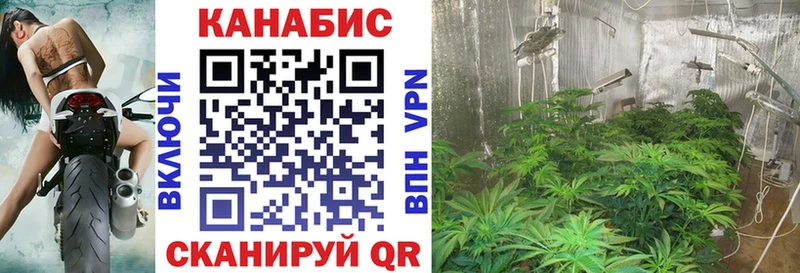 Каннабис THC 21% Нерюнгри