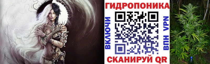 дарнет шоп  Нерюнгри  Бошки марихуана план 